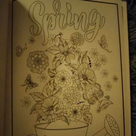 Adult coloring book - Picture 2 of 8